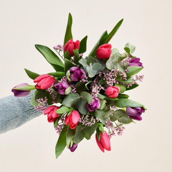 De violette tulipaner